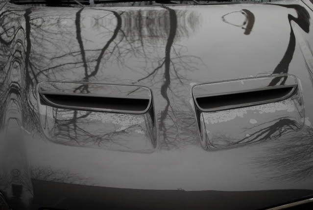 DSC_0365.jpg