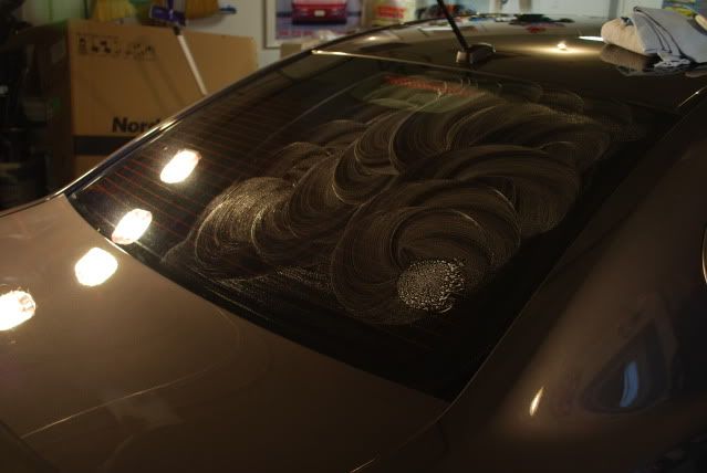 DSC_0480.jpg