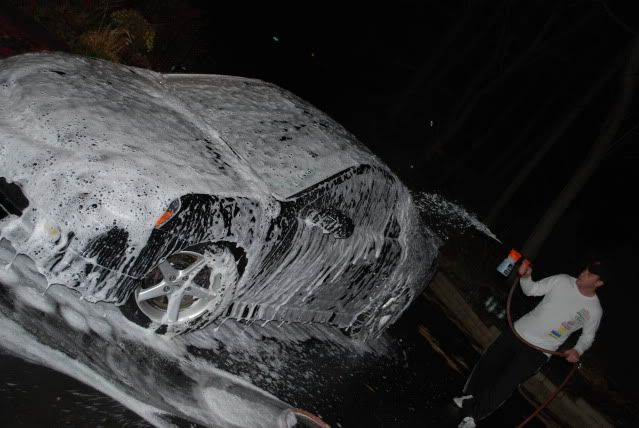 DSC_0290.jpg
