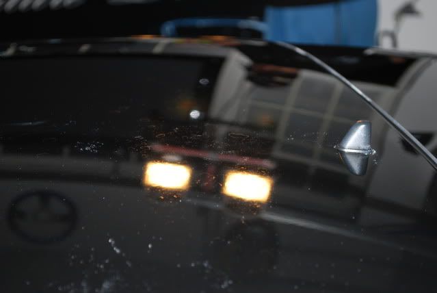 DSC_0296.jpg