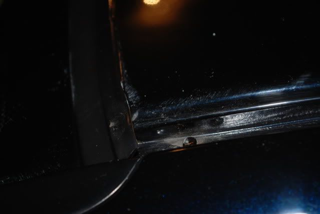 DSC_0302.jpg