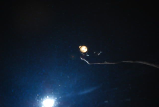 DSC_0336.jpg