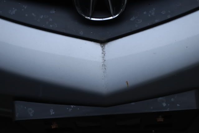 DSC_0107.jpg
