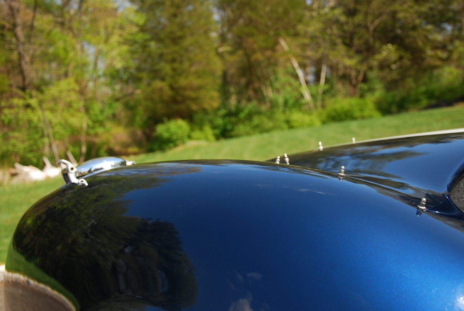 DSC_0698.jpg