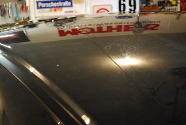 DSC_0554.jpg