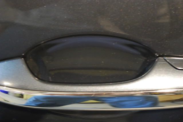 DSC_0606.jpg