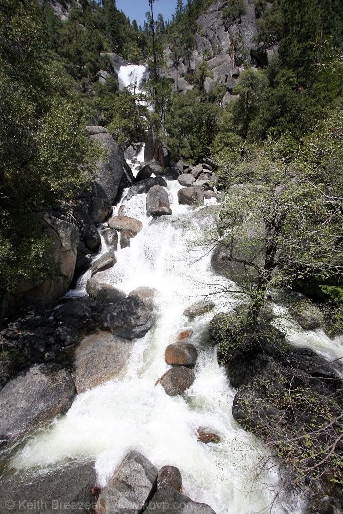 IMAGE: http://i197.photobucket.com/albums/aa5/KBVP/IMG_8934.jpg