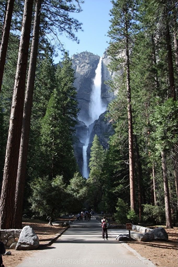 IMAGE: http://i197.photobucket.com/albums/aa5/KBVP/IMG_9084.jpg