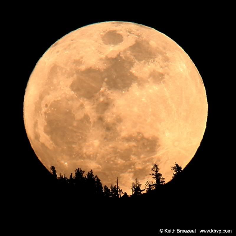 IMAGE: http://i197.photobucket.com/albums/aa5/KBVP/WormMoon10March20098356a.jpg