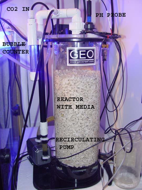 Setting Up Your Calcium Reactor