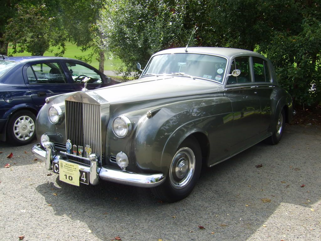 SV204060.jpg