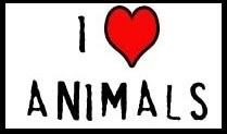animals.jpg