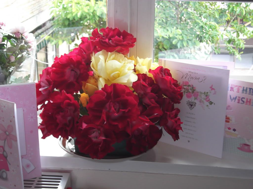 flowers Pictures, Images and Photos