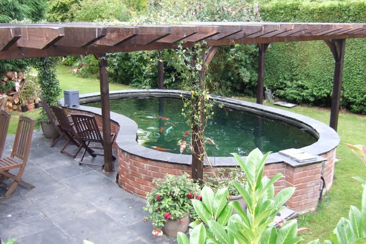 Simply Koi and More Koi • View topic Disguising a Bakki Shower