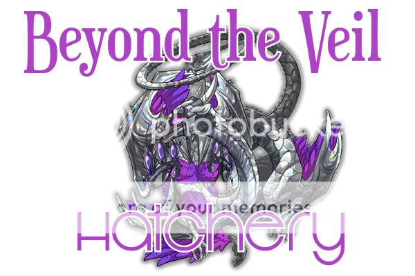 Beyond%20the%20Veil%20Banner_1.png