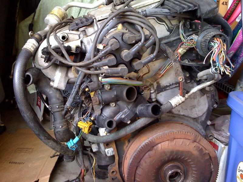 FS: 2.8 AAA VR6 (Distributor) Engine | VW Vortex - Volkswagen Forum