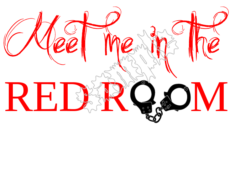 Fifty Shades of Grey Meet Me In The Red Room T Shirt X Large  