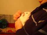 DSC00240.jpg