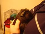DSC00242.jpg