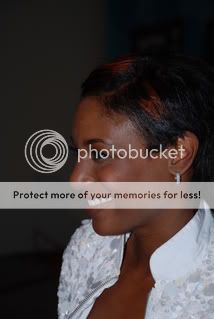 songfestival.web-log.nl