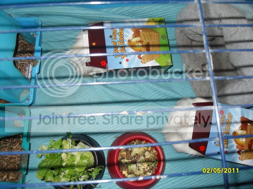 2011365.jpg