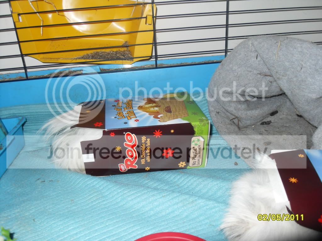 2011366.jpg