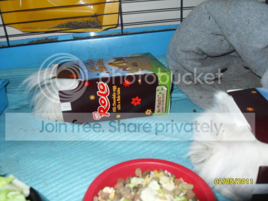 2011367.jpg