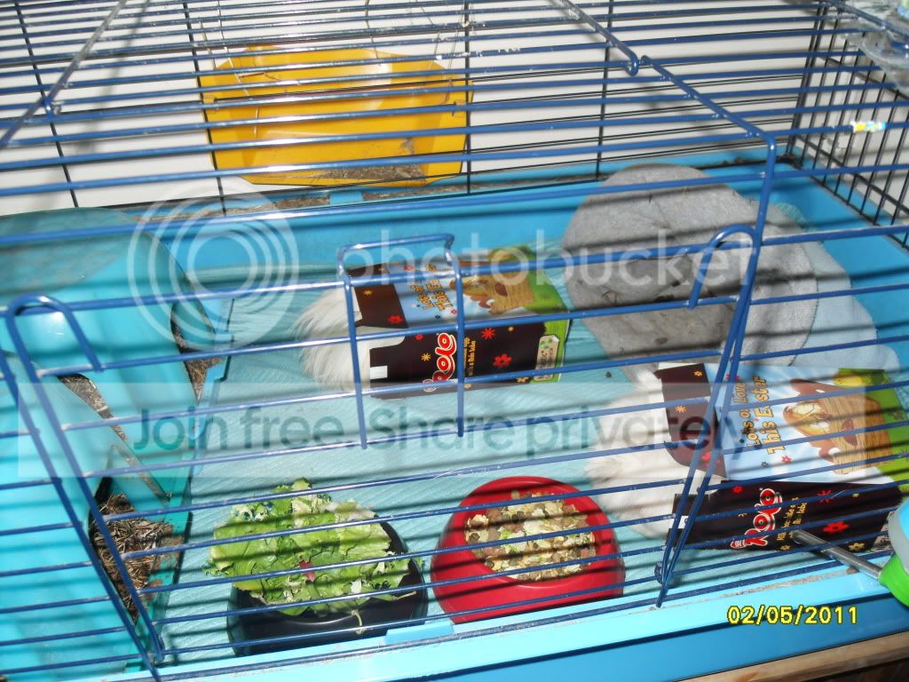 2011368.jpg
