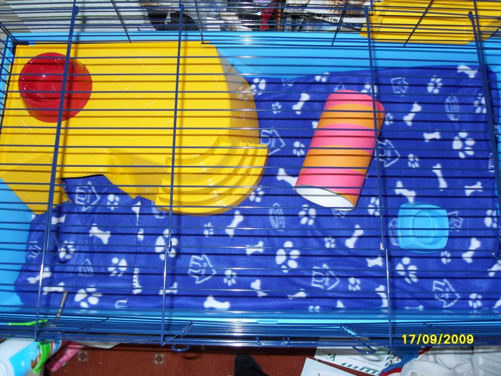 SDC10548.jpg