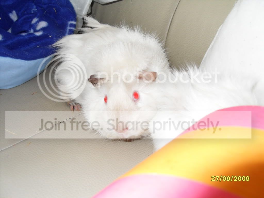 SDC10688.jpg