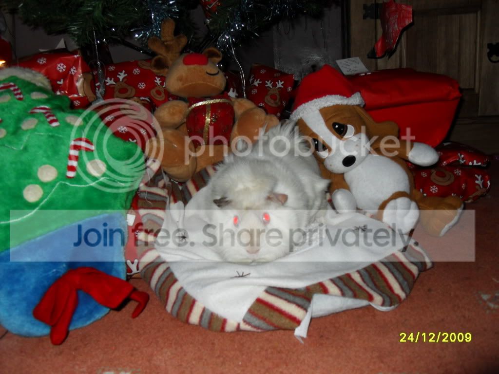 SDC11179.jpg