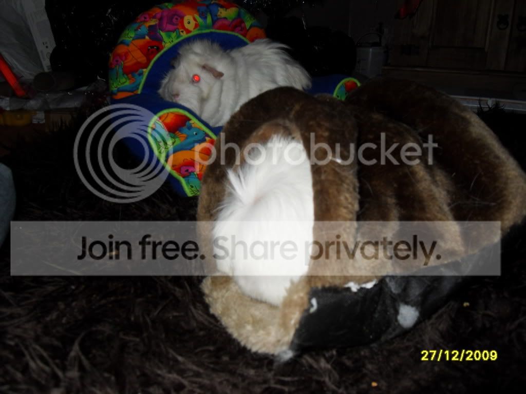 SDC11259.jpg