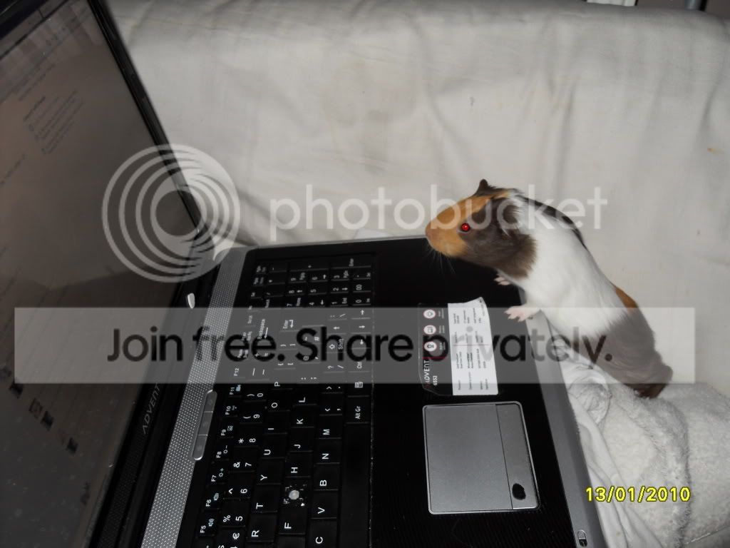 SDC11438.jpg