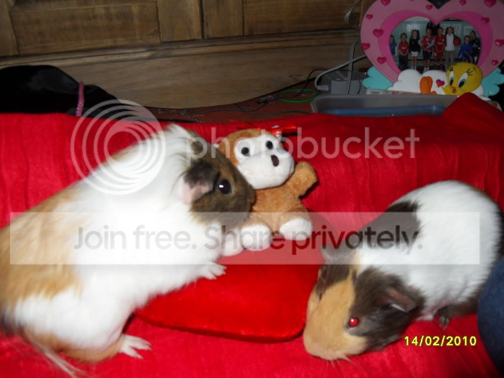 SDC11609.jpg