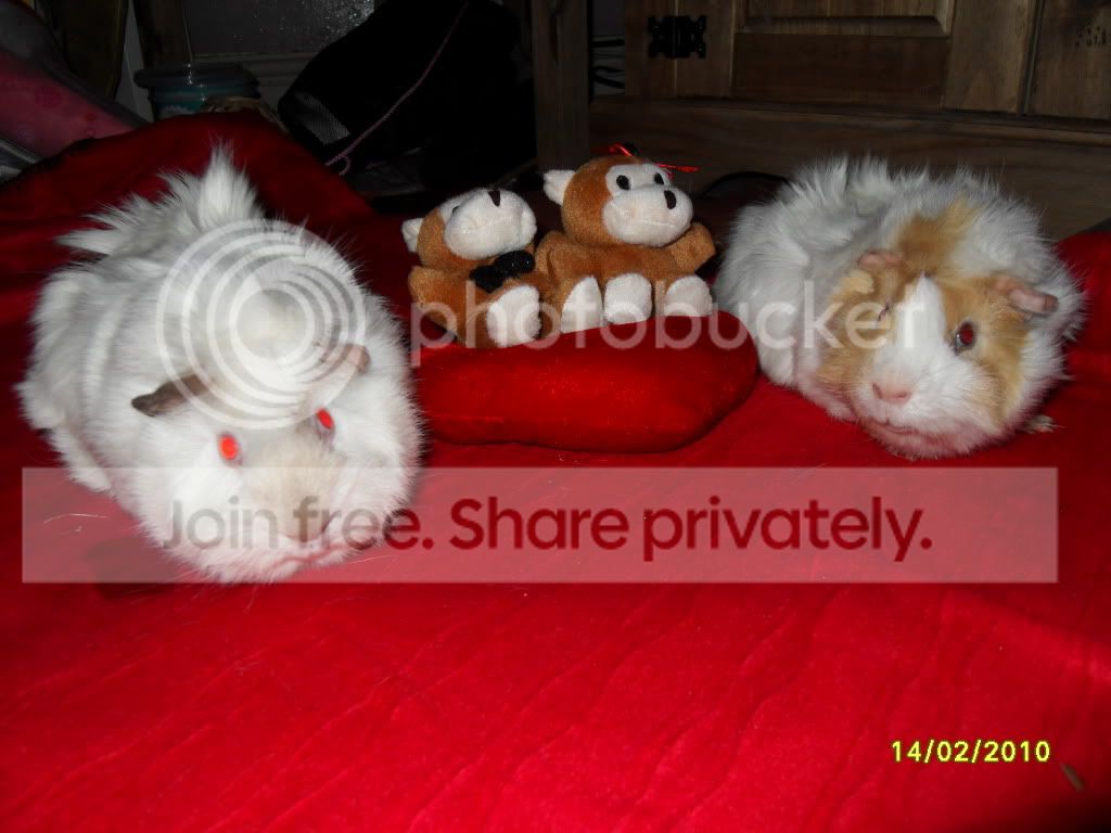 SDC11637.jpg