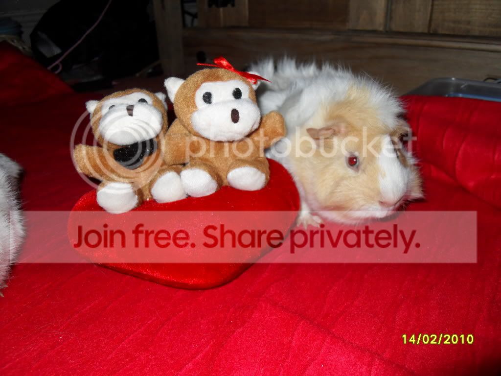 SDC11641.jpg