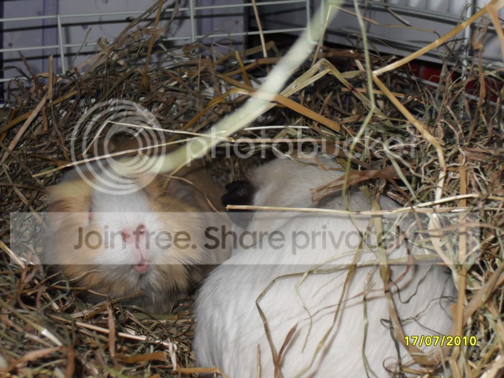 SDC12287.jpg