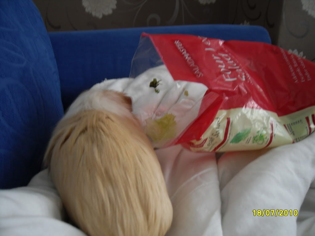 SDC12299.jpg