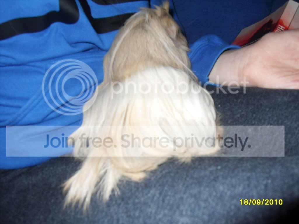 SDC12967.jpg