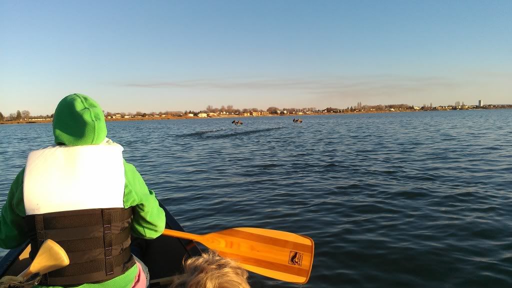 bwca paddle length boundary waters gear forum