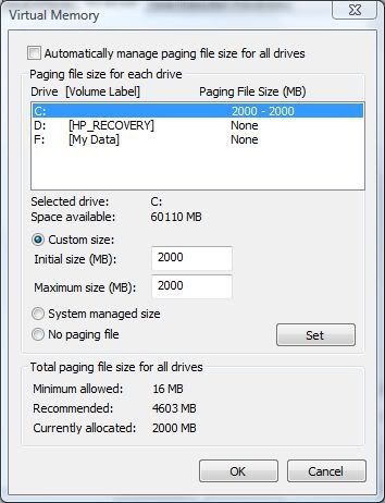 Maximum Memory Vista