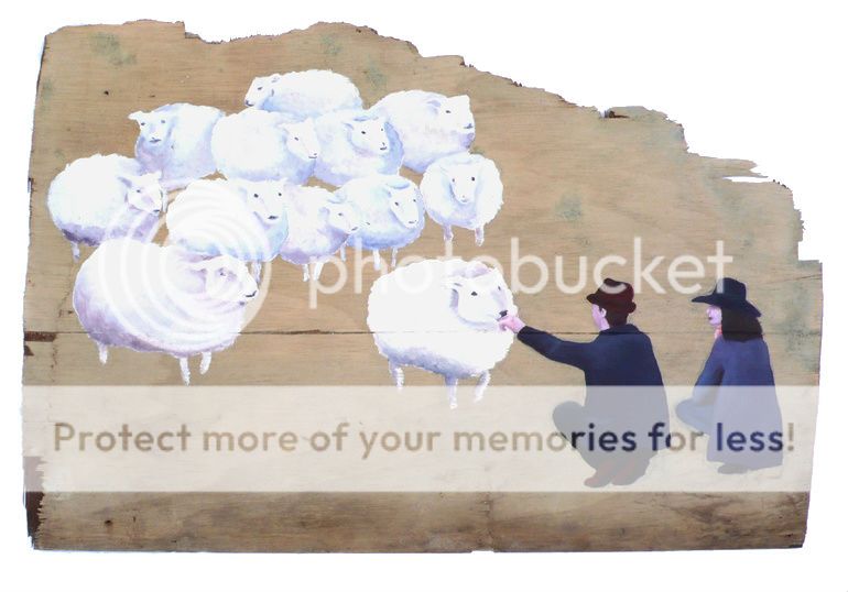  photo sheep.jpg